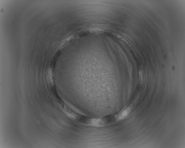 X0000067840575200604271623