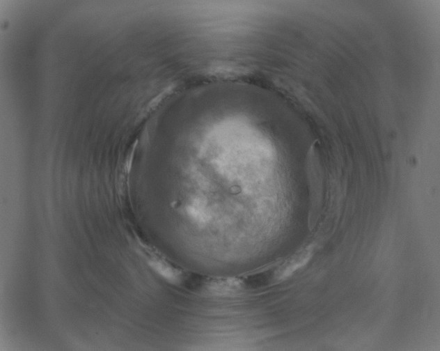 X0000067840576200604271623