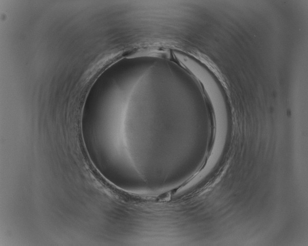 X0000067840577200604271622