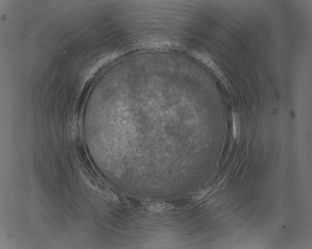 X0000067840579200604271622