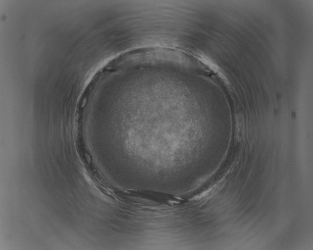 X0000067840580200604271622