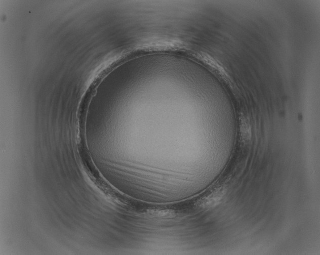 X0000067840582200604271622