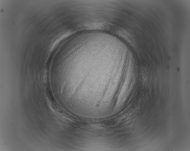 X0000067840583200604271622