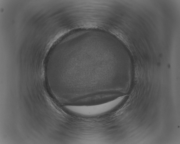 X0000067840584200604271622