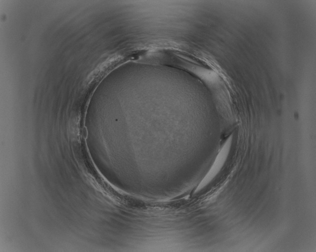 X0000067840585200604271622