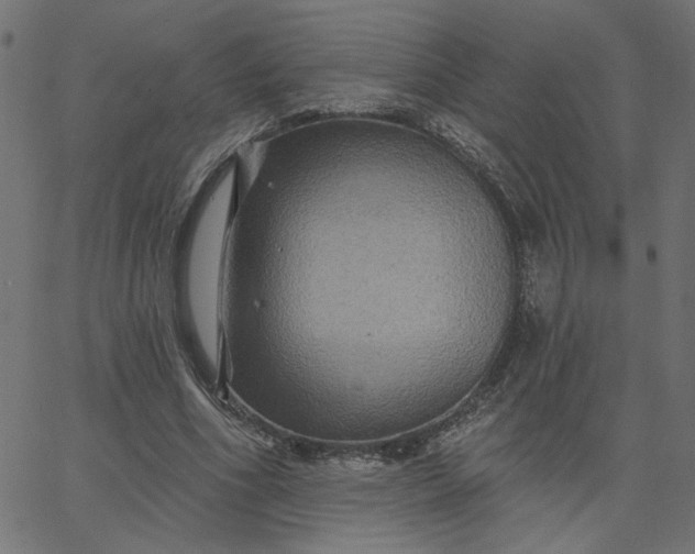 X0000067840586200604271622