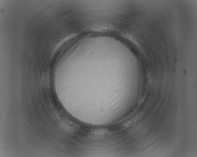 X0000067840587200604271622