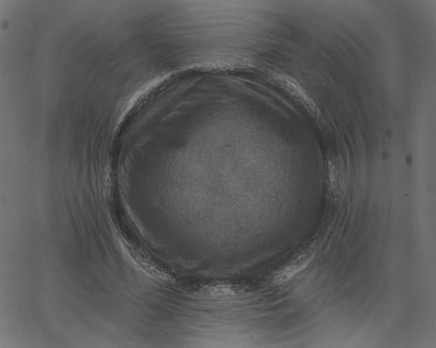 X0000067840588200604271622