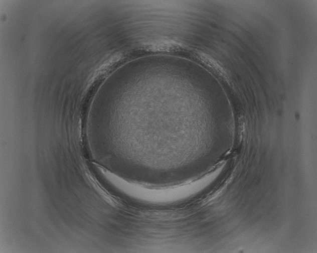 X0000067840589200604271622