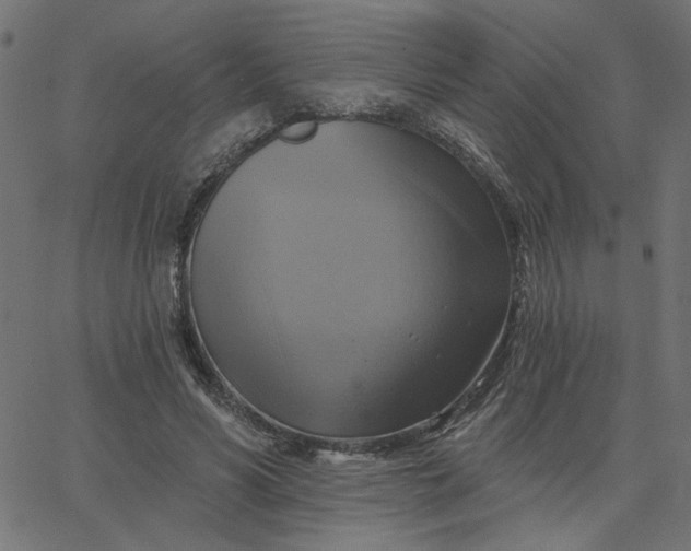 X0000067840590200604271622