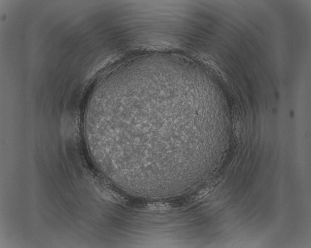 X0000067840591200604271622