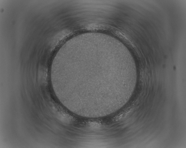 X0000067840592200604271622