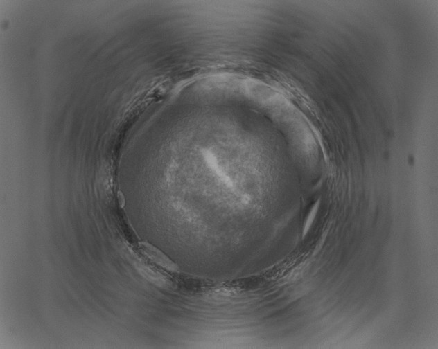 X0000067840593200604271622