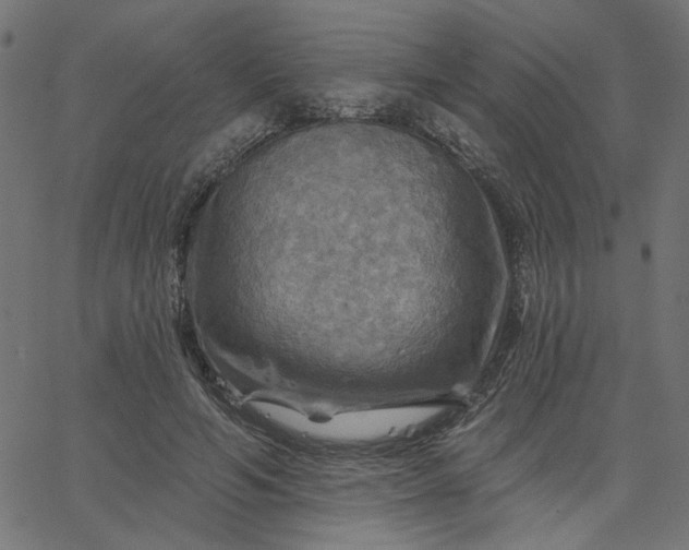 X0000067840594200604271622