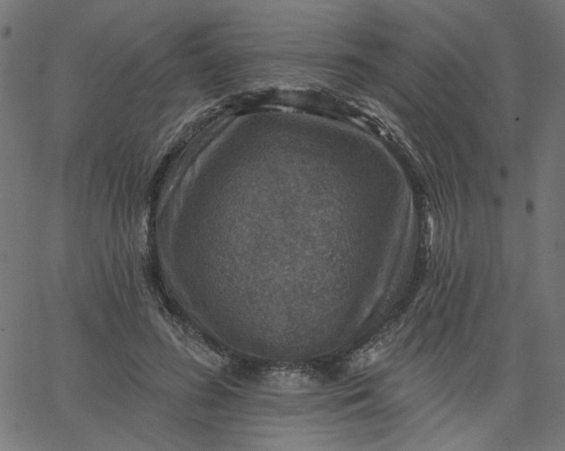 X0000067840596200604271621