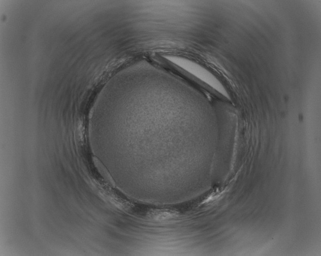 X0000067840597200604271621