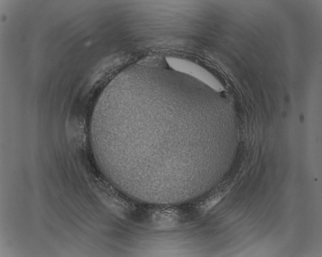 X0000067840599200604271621