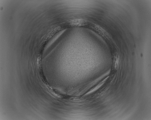 X0000067840601200604271621