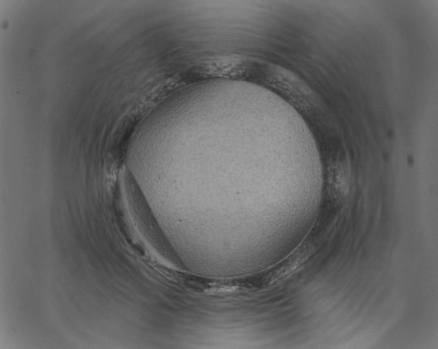 X0000067840602200604271621