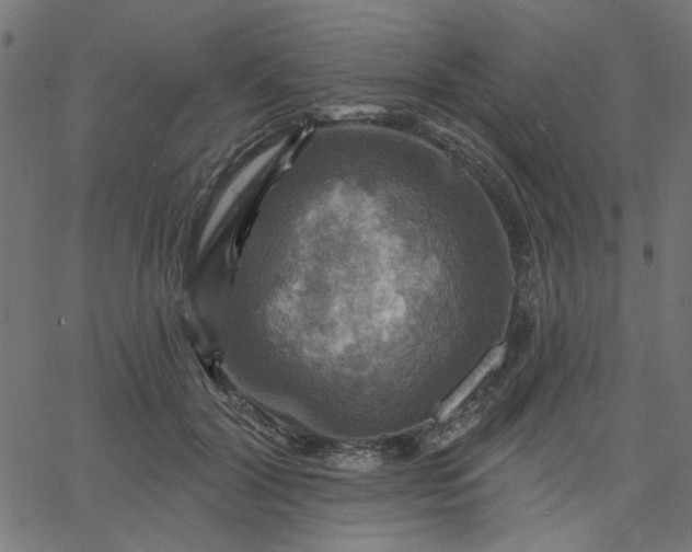 X0000067840604200604271621