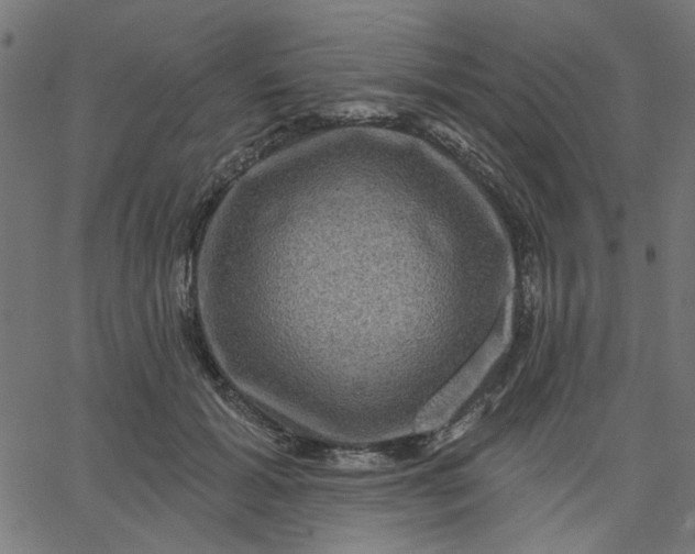 X0000067840605200604271621