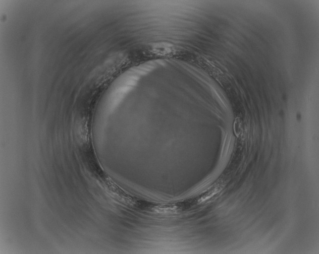 X0000067840606200604271621