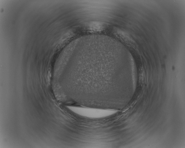 X0000067840608200604271621