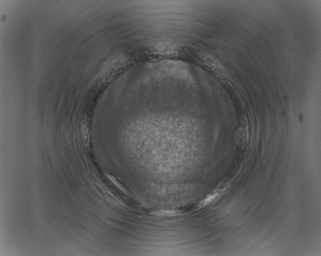 X0000067840609200604271621