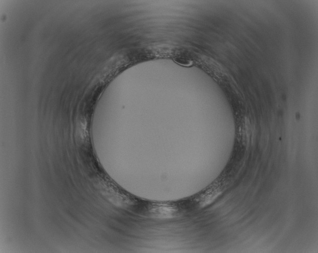 X0000067840610200604271621