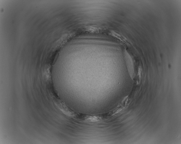 X0000067840611200604271621