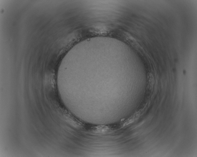 X0000067840612200604271621