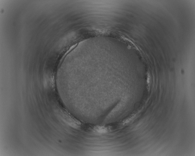 X0000067840613200604271621