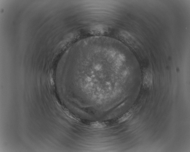 X0000067840616200604271621