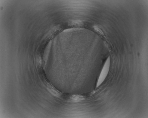 X0000067840617200604271621