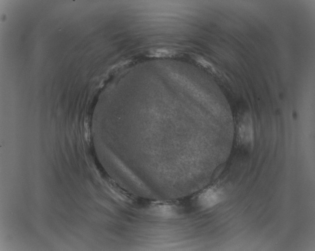 X0000067840620200604271621