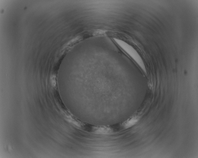 X0000067840621200604271621