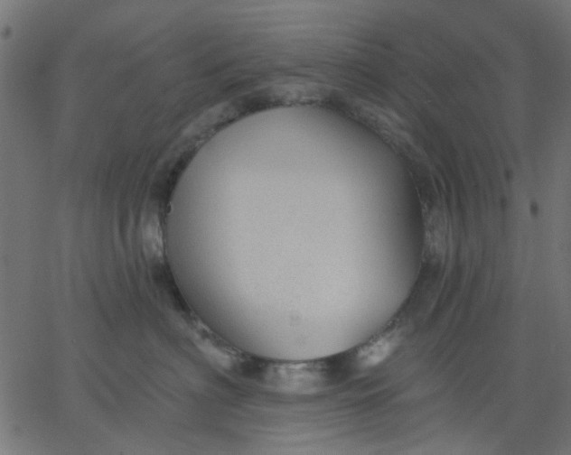 X0000067840622200604271621