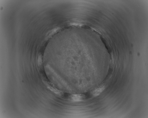 X0000067840623200604271621