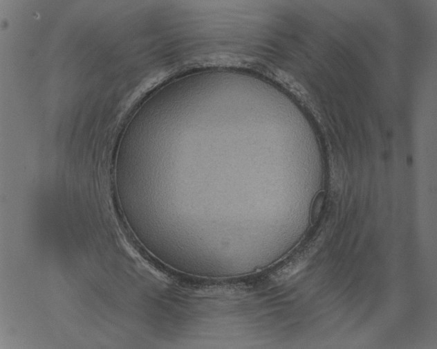 X0000067840625200604271620