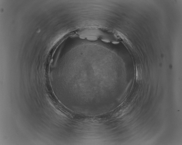 X0000067840627200604271620