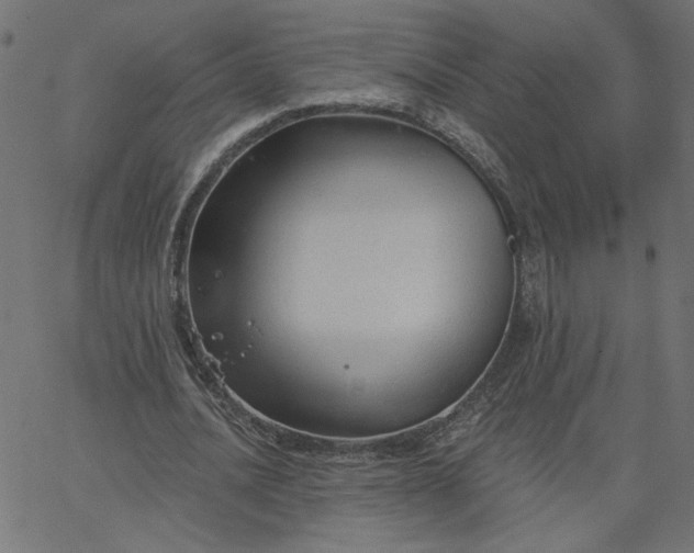 X0000067840628200604271620