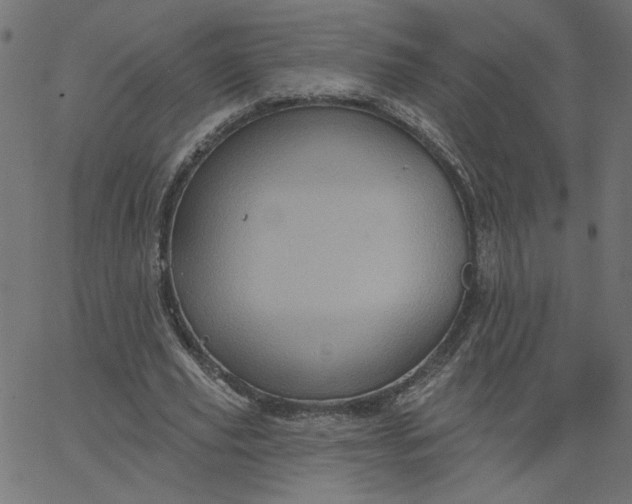 X0000067840629200604271620