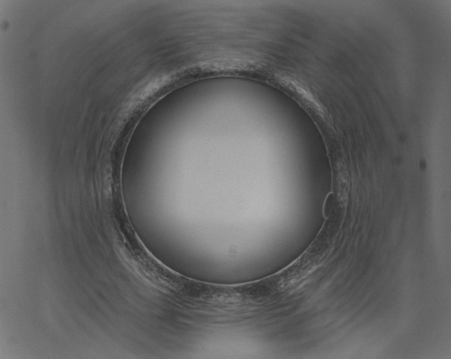 X0000067840631200604271620