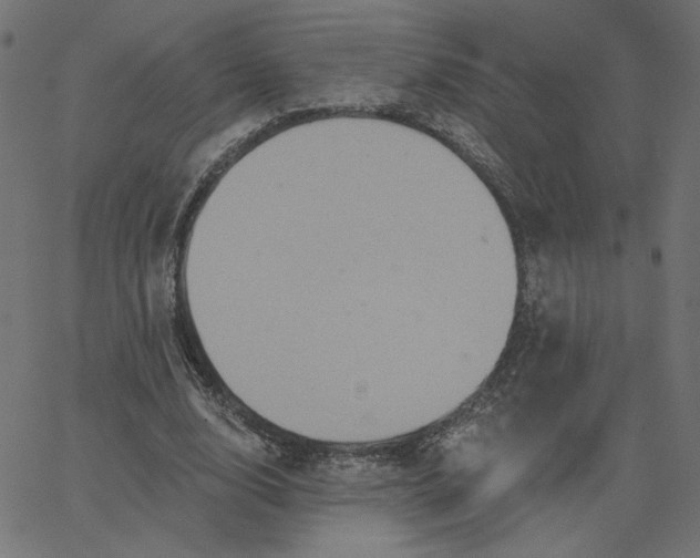 X0000067840632200604271620