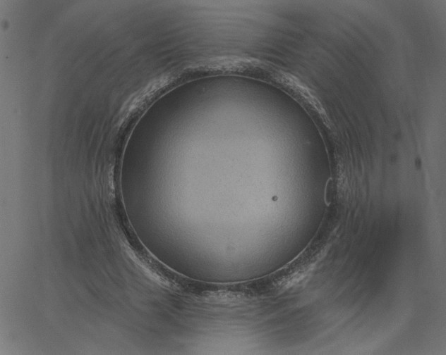 X0000067840633200604271620