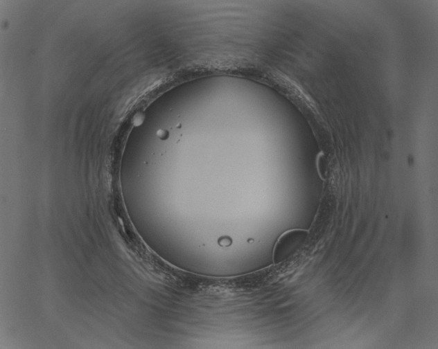 X0000067840635200604271620