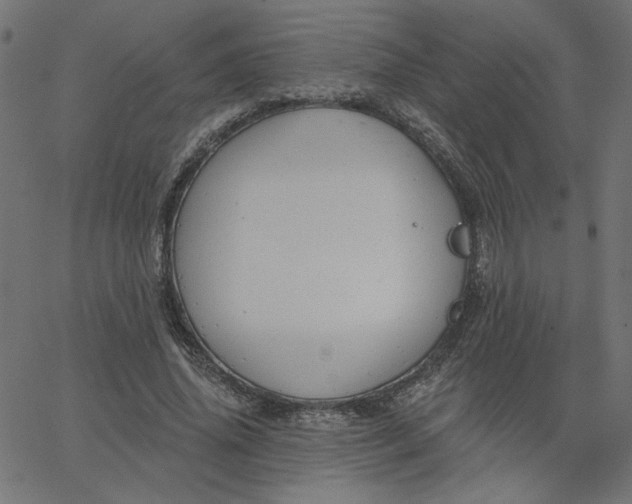 X0000067840636200604271620