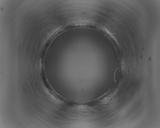 X0000067840637200604271620