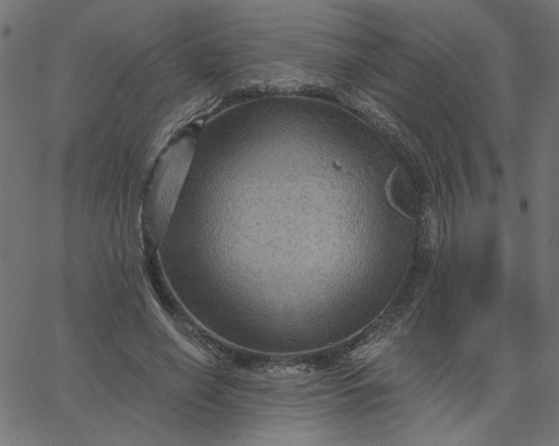 X0000067840638200604271620