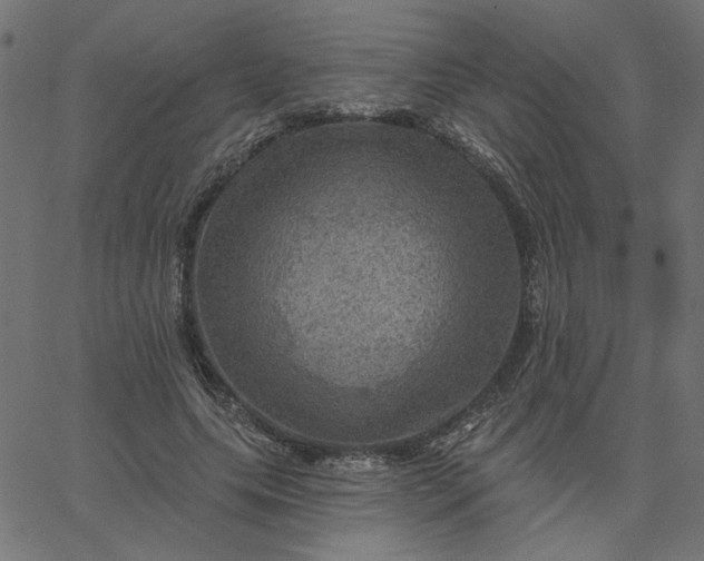 X0000067840639200604271620